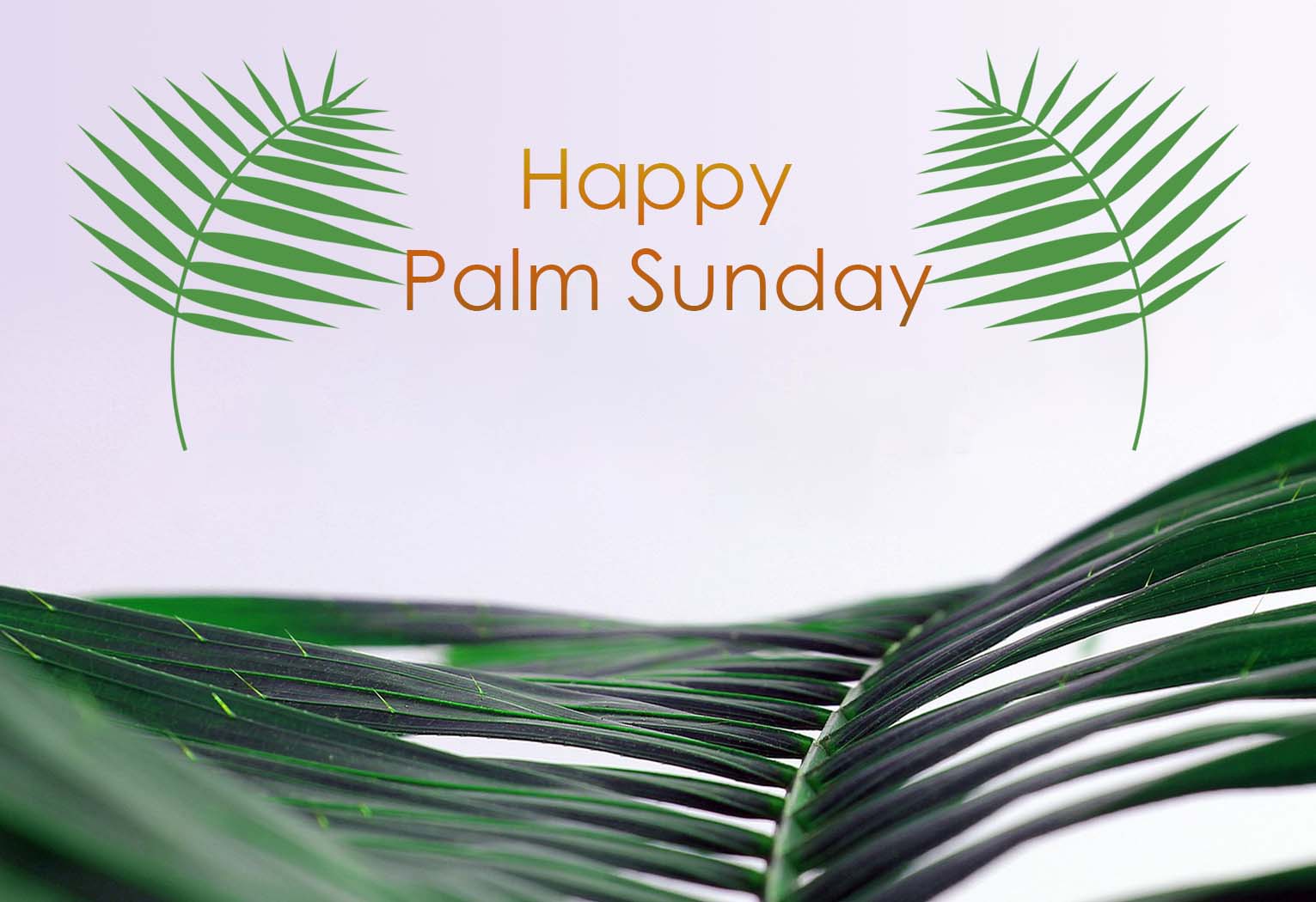 Palm Sunday Pictures